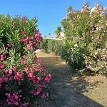 Seafront 3 Bedroom Semi-villa With An Outstanding Seaview Дом отдыха Сент-Полс-Бей