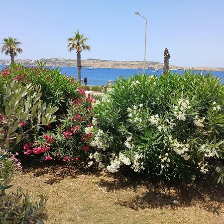 Seafront Semi-villa With The Seaview セント・ポールズ・ベイ