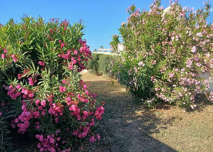 Seafront Semi-villa With An Outstanding Seaview Semesterbostad St. Paul's Bay